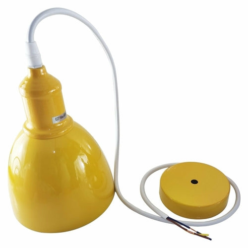 Industrial Pendant Lighting ~4033